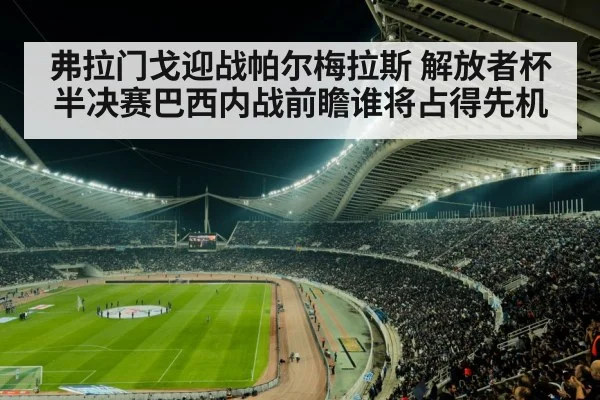 弗拉门戈迎战帕尔梅拉斯 解放者杯半决赛巴西内战前瞻谁将占得先机